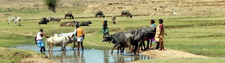 Conférence sur la situation au Jharkhand par Birendra Kumar – vendredi 08 juin – Maison des solidarités