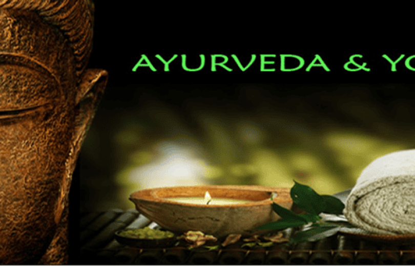 Inde du Sud / Kerala