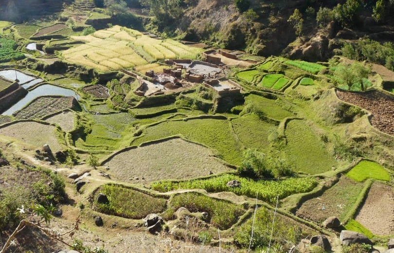 Madagascar