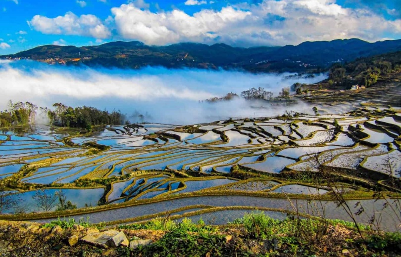 Chine