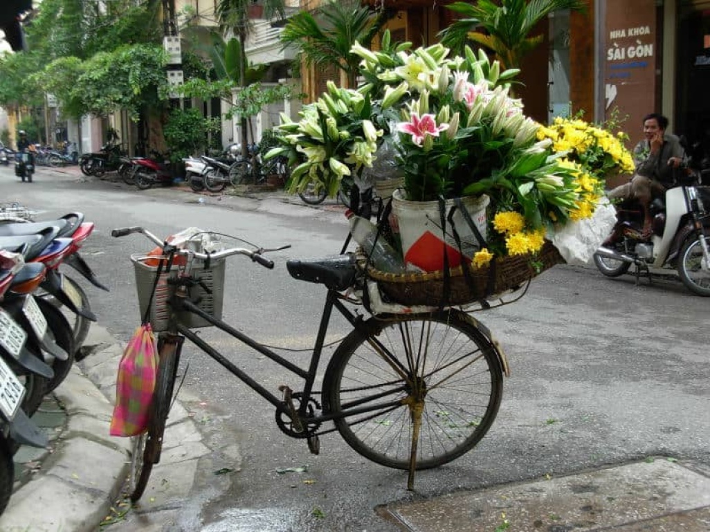 Tous nos voyages solidaires et responsables au Viêt Nam